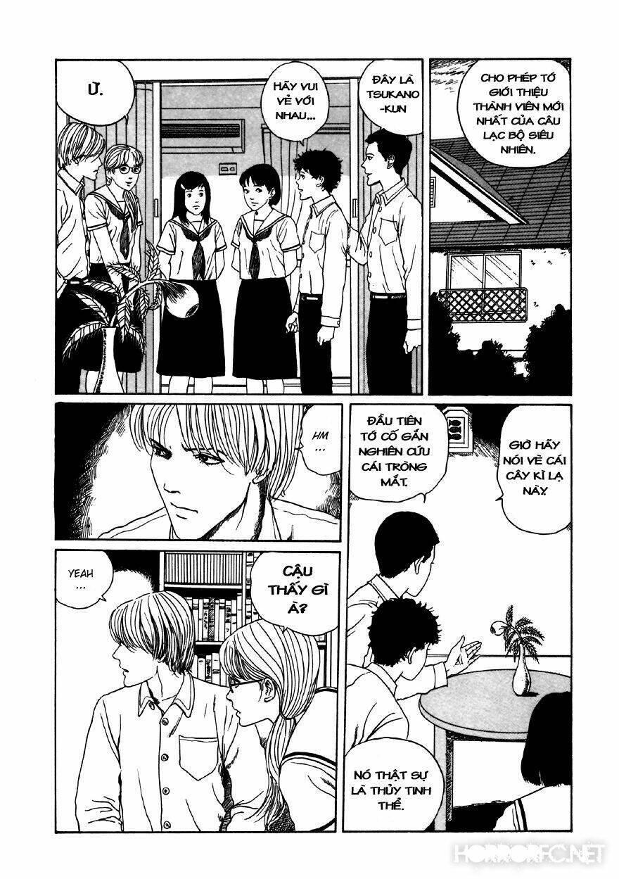 tuyển tập truyện ngắn kinh dị của ito junji chapter 11.5 15