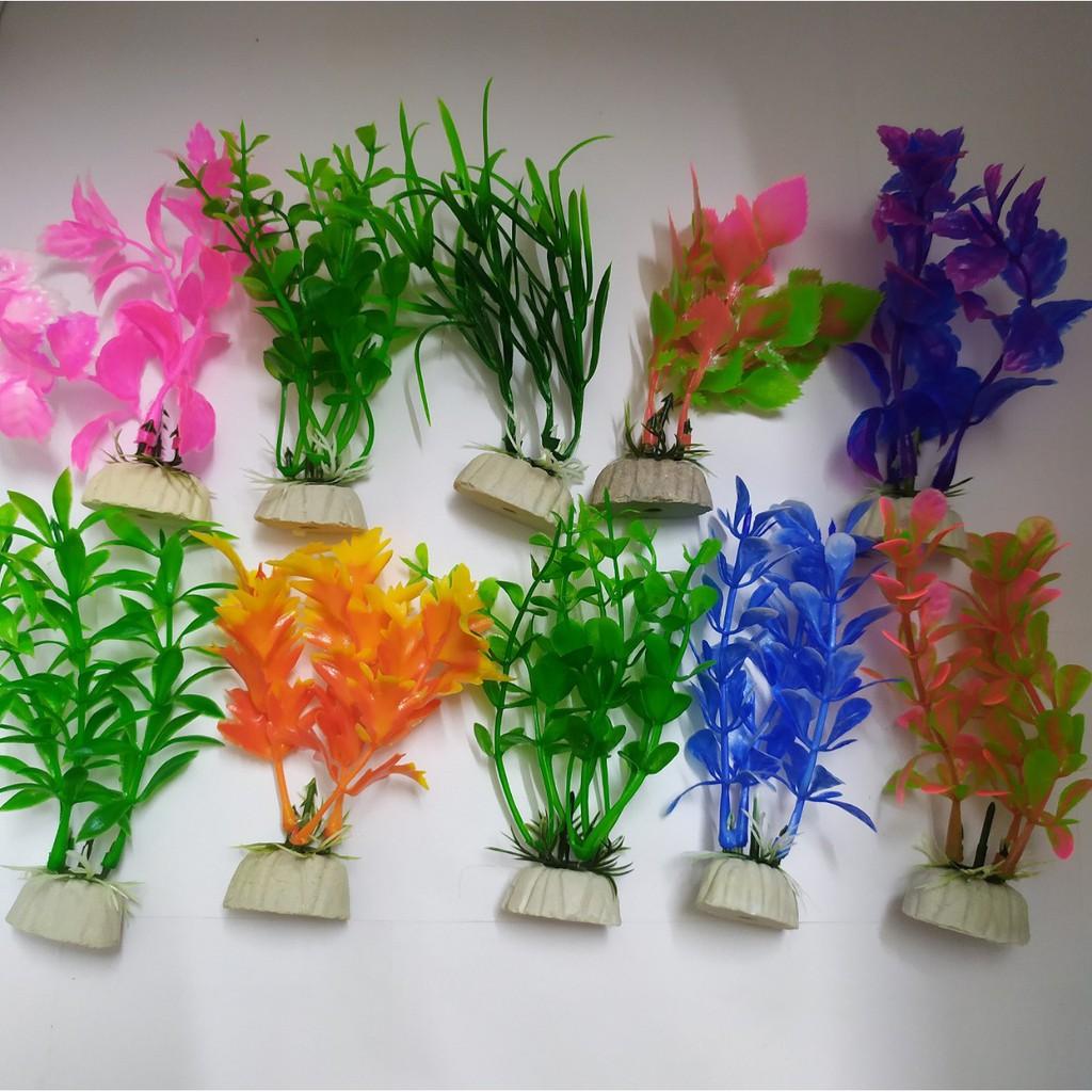 Bộ 2 Cây Rong Mini cao 13 cm Trang Trí Hồ Cá, Bể Cá-Hòn Non Bộ,..