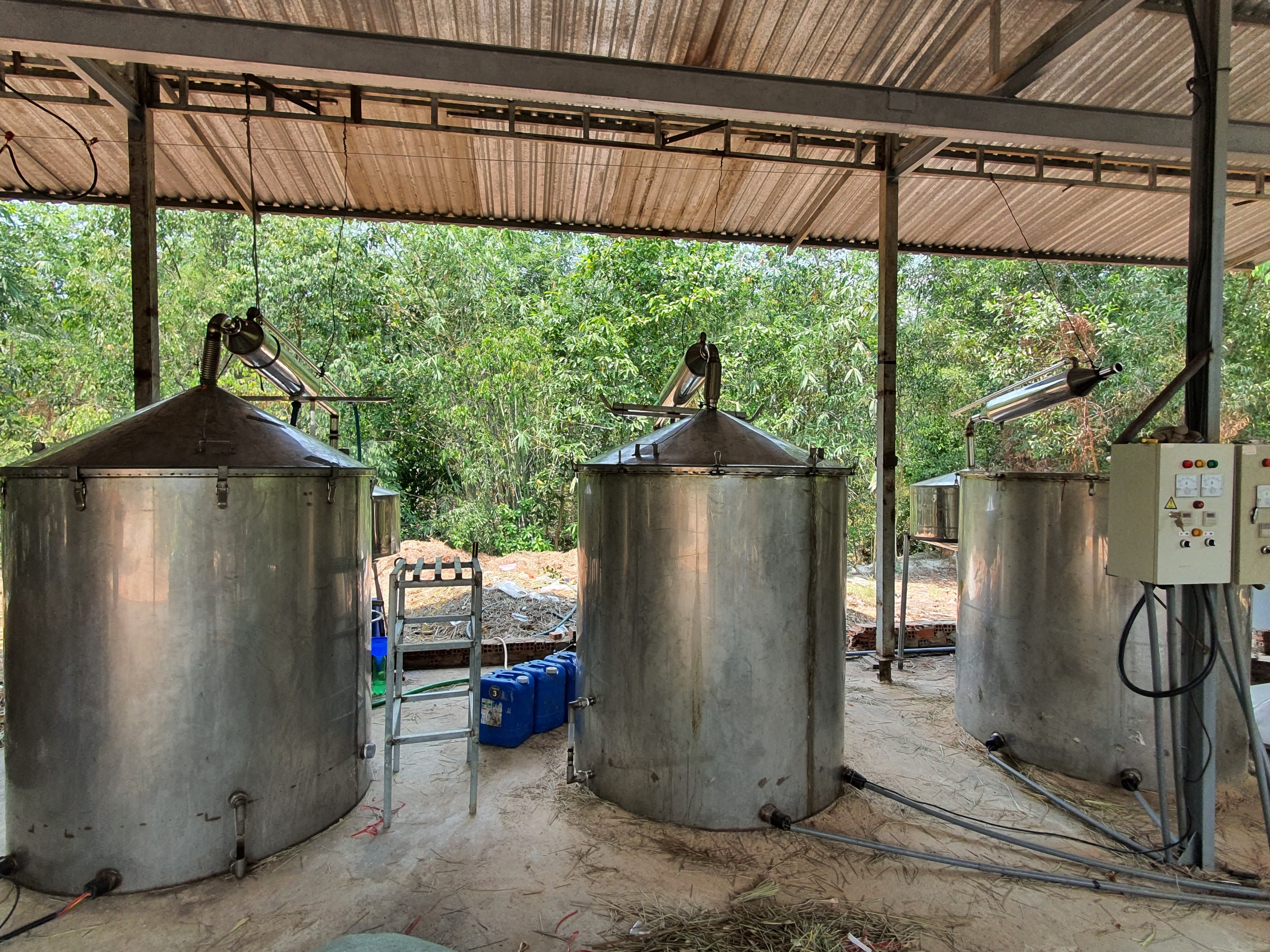 Tinh dầu Bạc hà chai 01Lít Mộc Mây - tinh dầu nguyên chất từ thiên nhiên - Có kiểm định - Chất lượng và mùi hương vượt trội