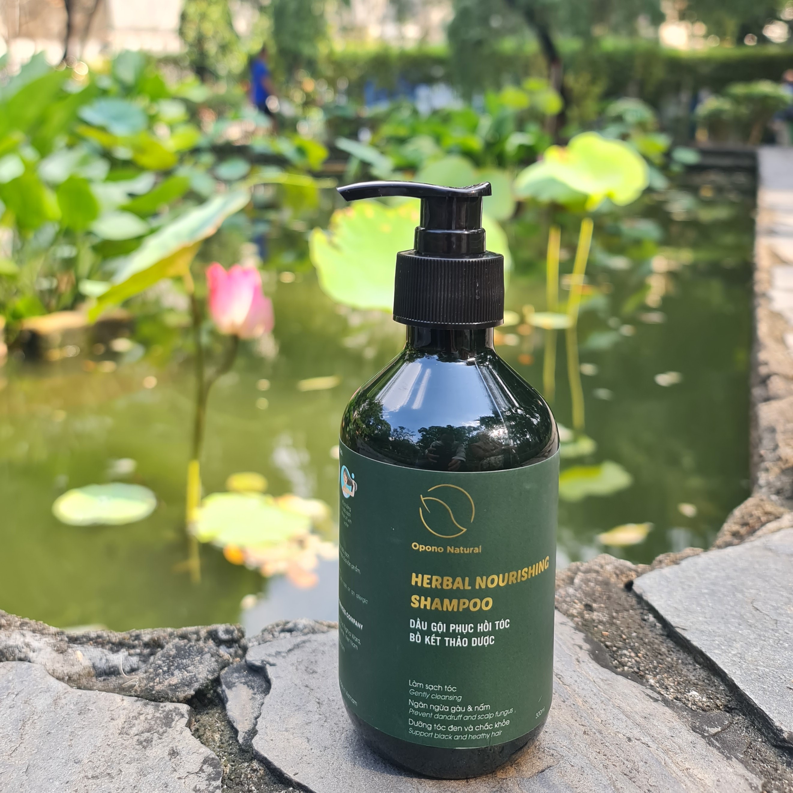 Dầu gội thảo dược bồ kết kích mọc tóc, ngăn gàu, nấm, dưỡng tóc suông mượt, chắc khoẻ thảo mộc Opono Natural 300ml
