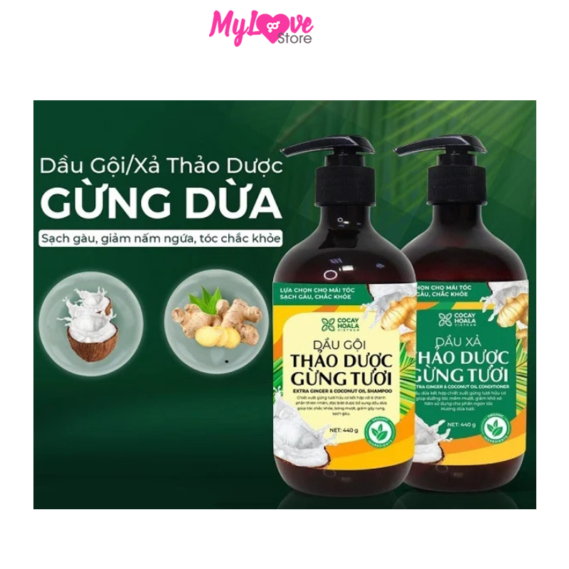 Combo Dầu Gội Xả Gừng Dừa Hữu Cơ Cocayhoala Ngăn Rụng Tóc Kích Thích Mọc Tóc - Giảm Gàu 440g + Tặng Gel Tẩy Da Chết Cafe Cocayhoala Sáng Da Sạch Mụn - Tăng Hấp Thụ Dưỡng Chất của Da - Chiết Xuất Cafe