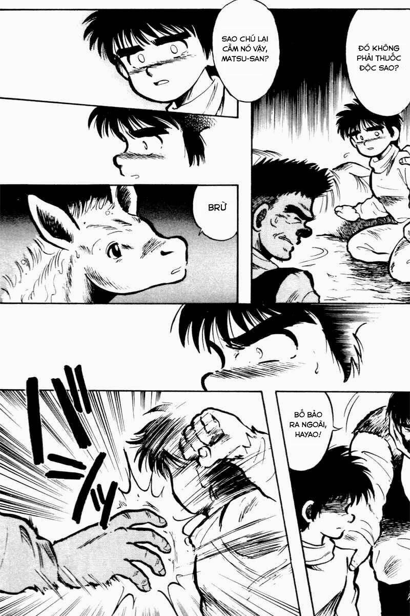 kaze no sylphid - phong mã silphid chapter 1 51