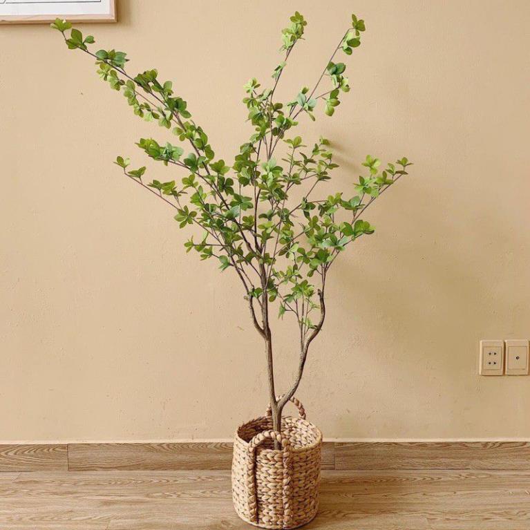 Cây thạch nam giả cao 123cm decor siêu xinh giống thật 99%