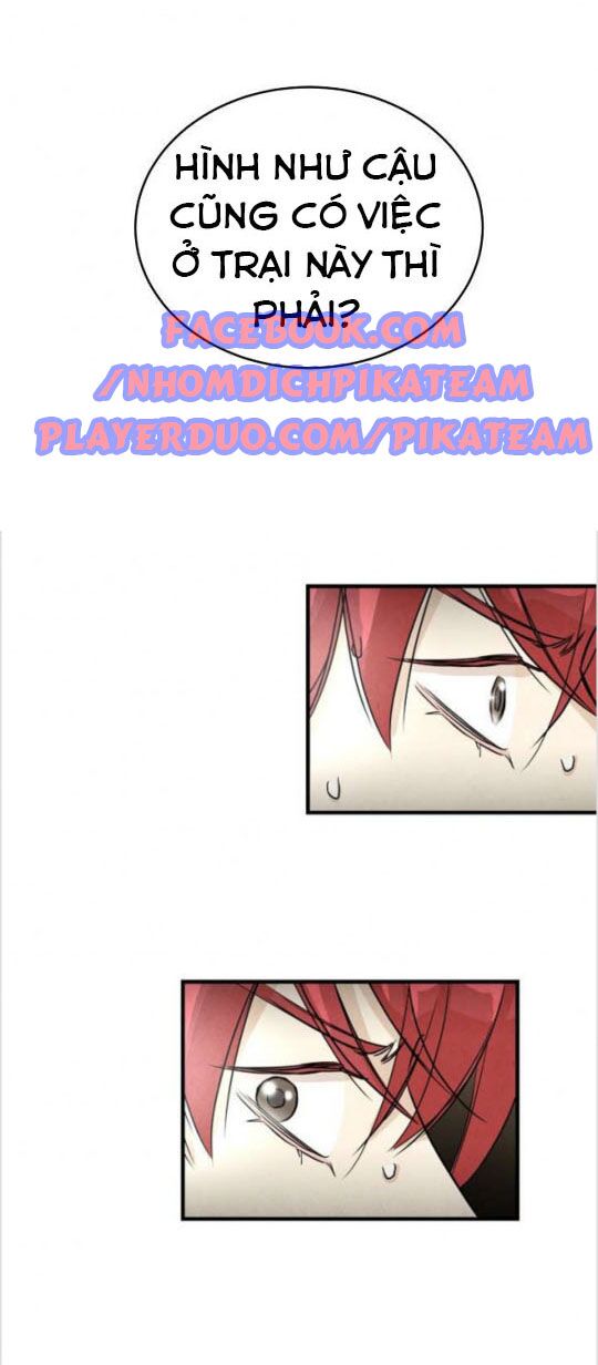 return survival chapter 19 41