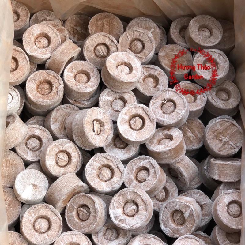 10 Viên Nén Sơ Dừa Ươm Hạt Giống