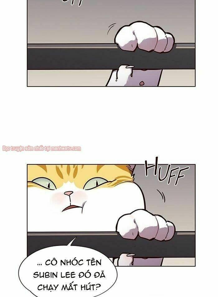 biến thân thành mèo chapter 51 4
