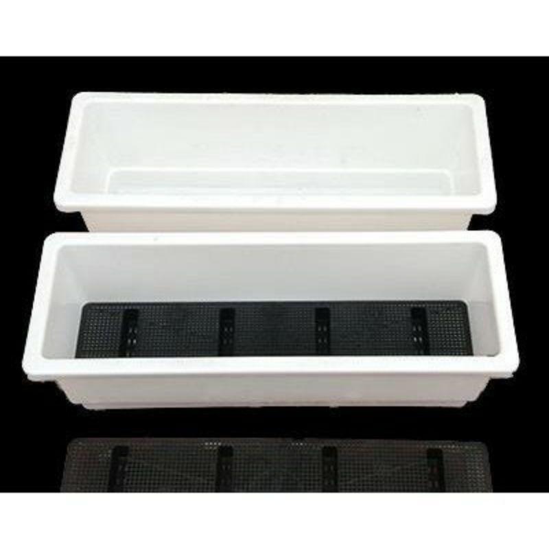 Khay trồng hoa, trồng rau