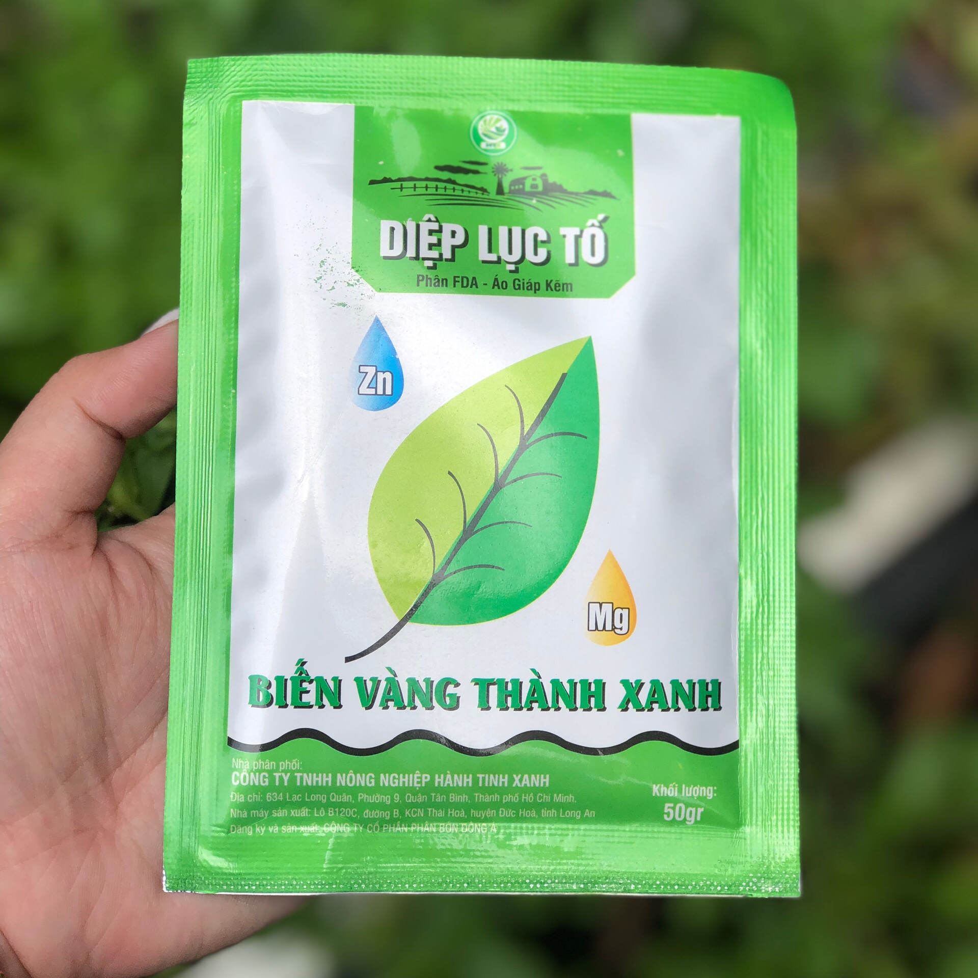 Phân bón FDA – Áo giáp kẽm Diệp Lục Tố biến vàng thành xanh