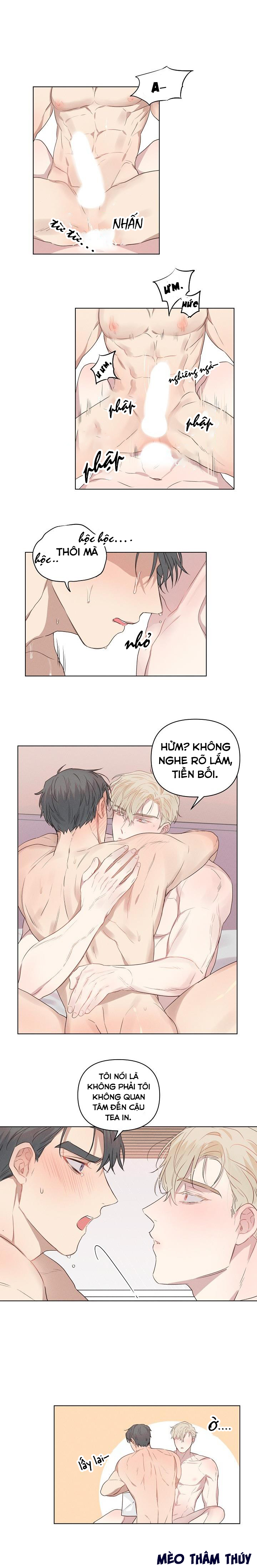 nơi tình yêu định mệnh chapter 7 7