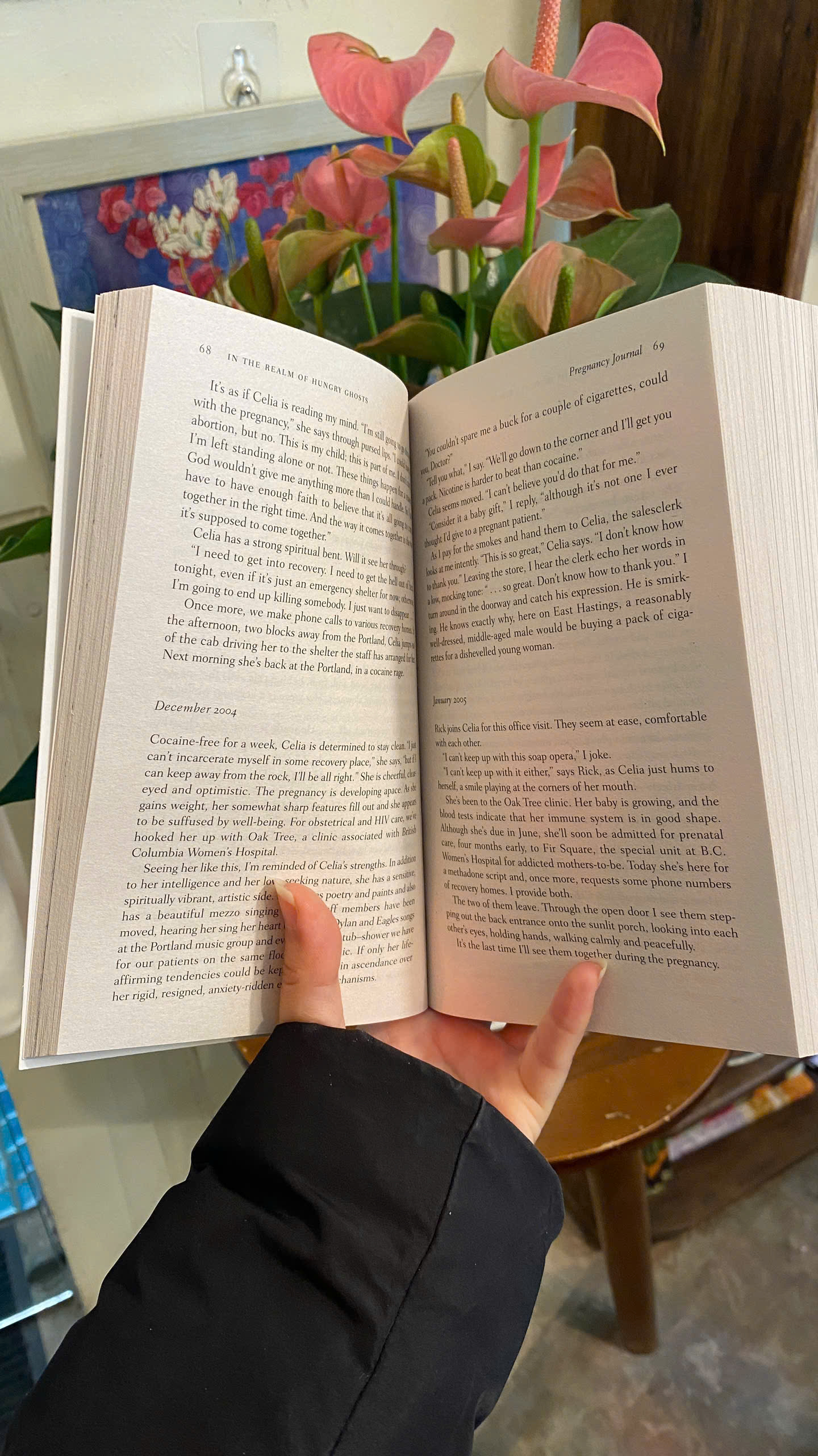 Sách - In the Realm of Hungry Ghosts: Close Encounters with Addiction by Gabor Maté | Ngoại văn