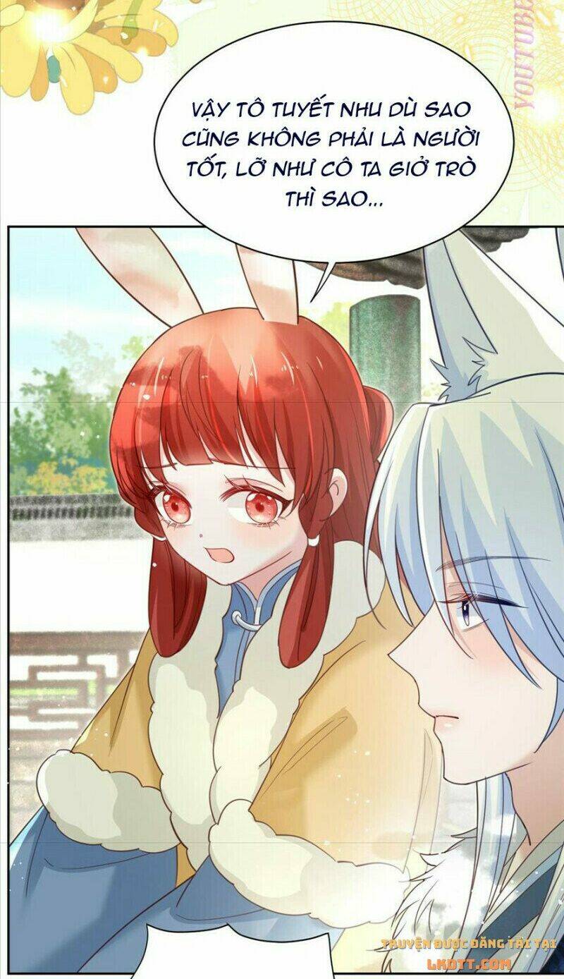 hắc hóa nam chính trực tuyến nuôi thỏ chapter 64 41