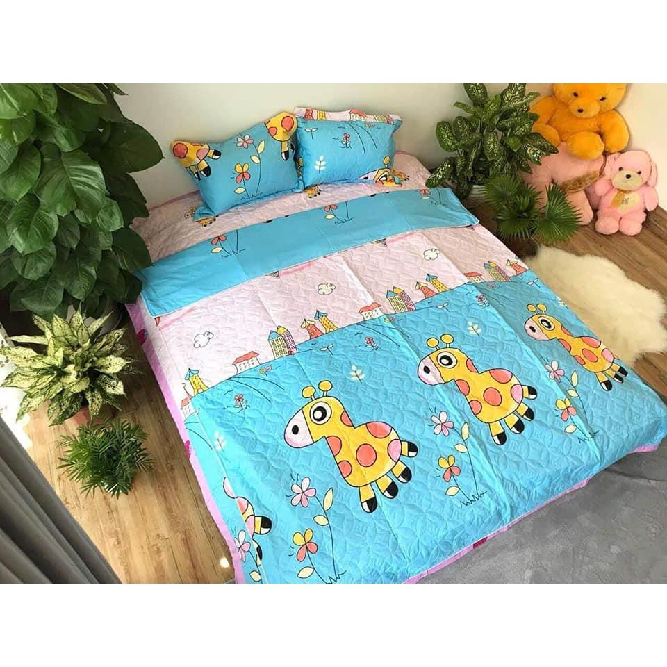 BỘ CHĂN GA COTTON POLY TRẦN BÔNG