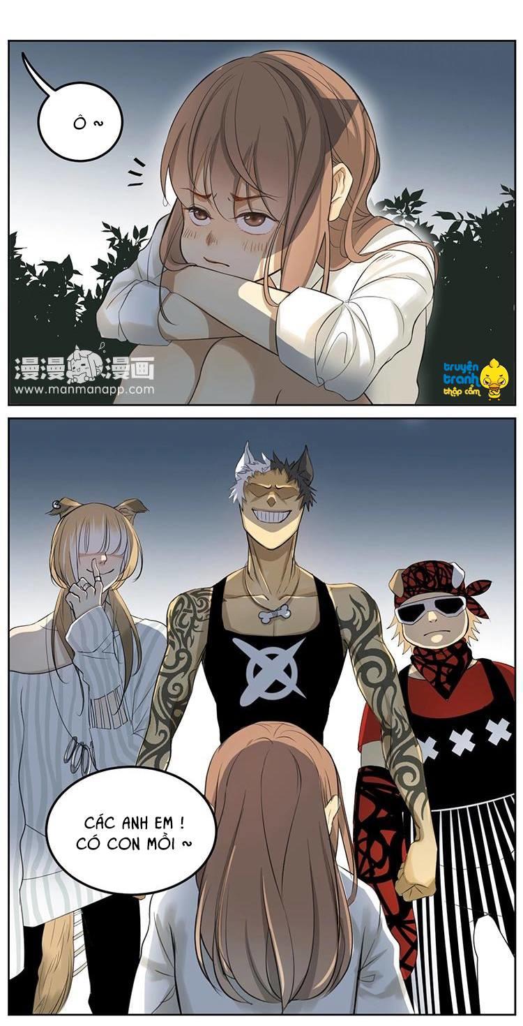 cứu mạng ! loài mèo thống trị thế giới rồi ! chapter 5 17