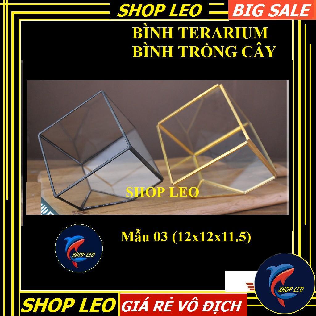 Bình TERRARIUM - bình thủy tinh trồng cây - chậu kính hình học terarium