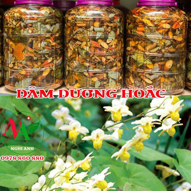 Lá Dâm Dương Hoắc 500g Loại Đẹp