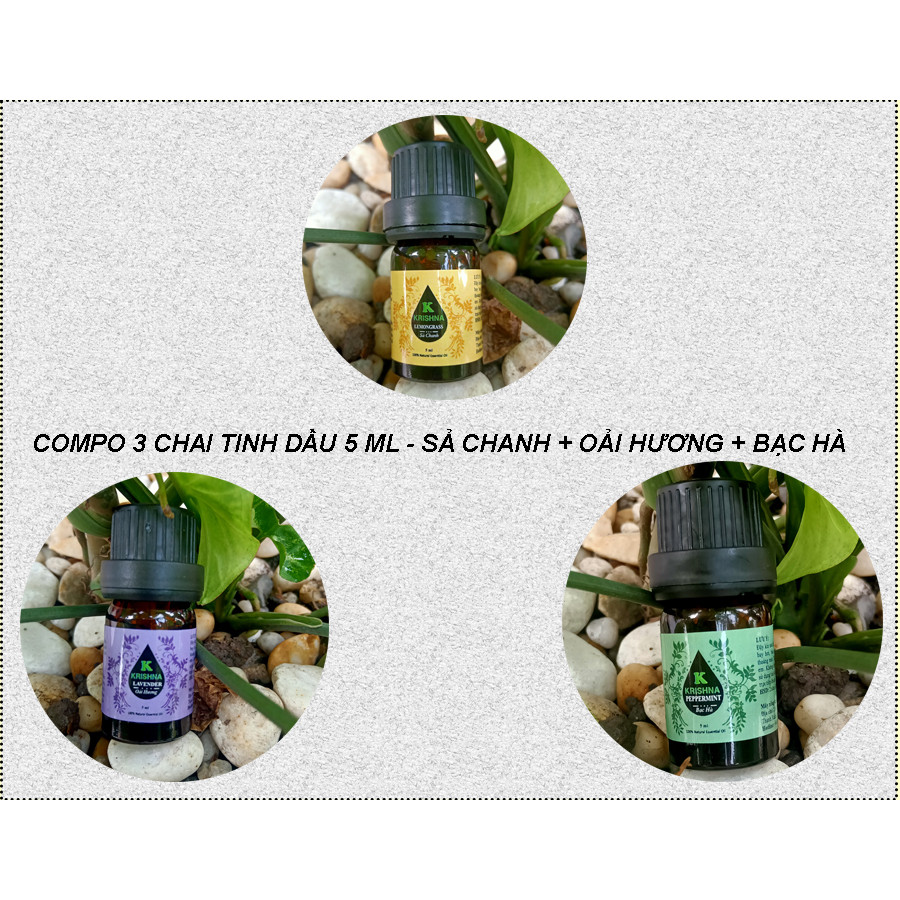 COMPO 3 CHAI TINH DẦU 5ML NGUYÊN CHẤT NHẬP KHẨU - SẢ CHANH + BẠC HÀ + OẢI HƯƠNG - TINH DẦU XÔNG GIÚP THƯ GIÃN, XUA ĐUỔI CÔN TRÙNG, THƠM PHÒNG, NÂNG CAO CHẤT LƯỢNG CUÔC SỐNG PHÒNG 