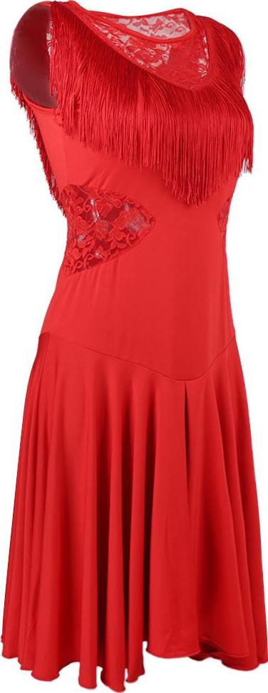 Women's Latin Dance Dress Fancy Costumes