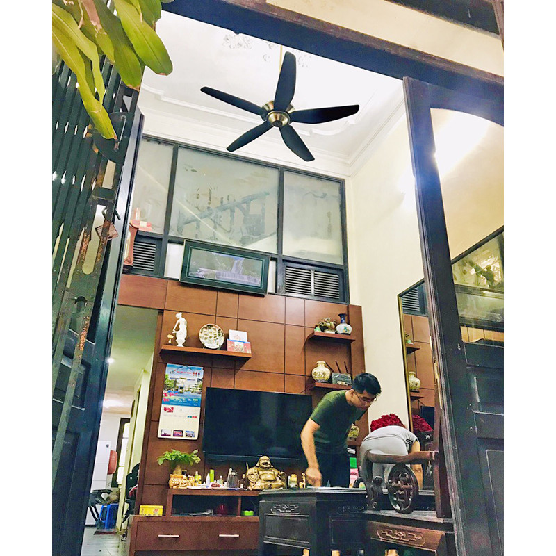 quạt trần đẹp mr.Vu