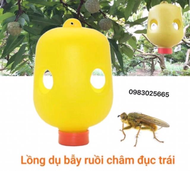 Combo lọ thuốc và 4 lồng bẫy ruồi vàng