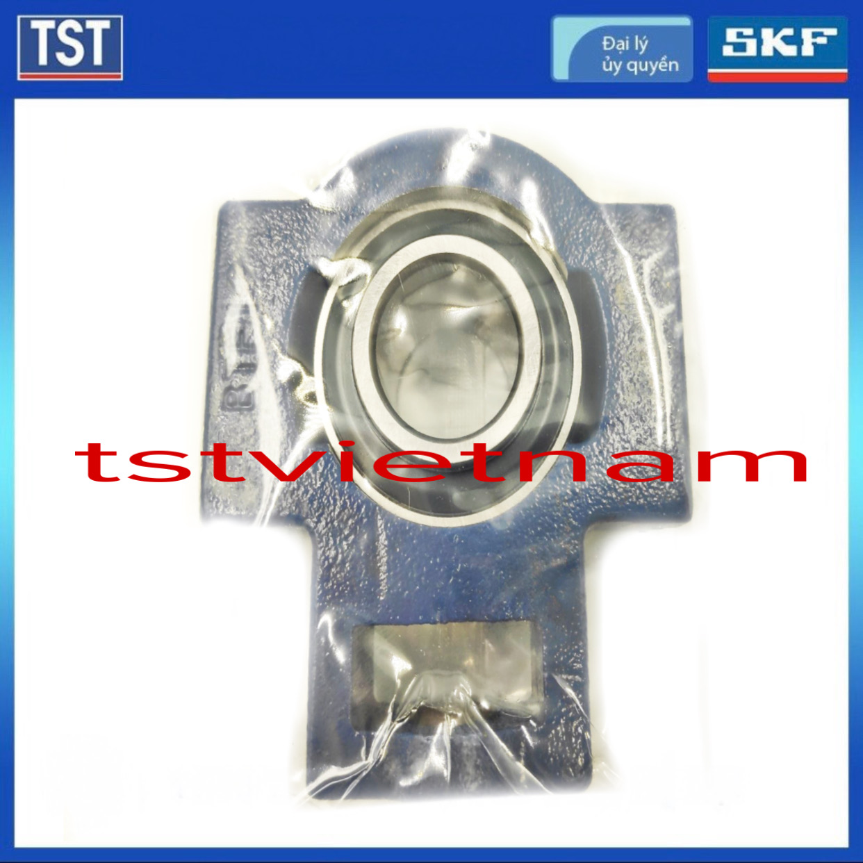 Gối đỡ vòng bi SKF UCT 206