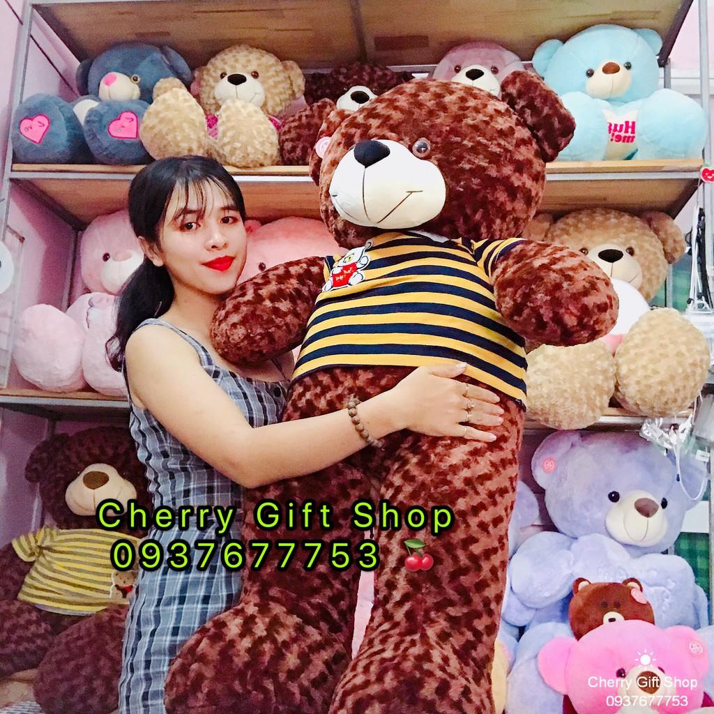 Gấu Bông Teddy Áo Thun Cao Cấp Giá Sốc 1m4 Ảnh Shop Chụp