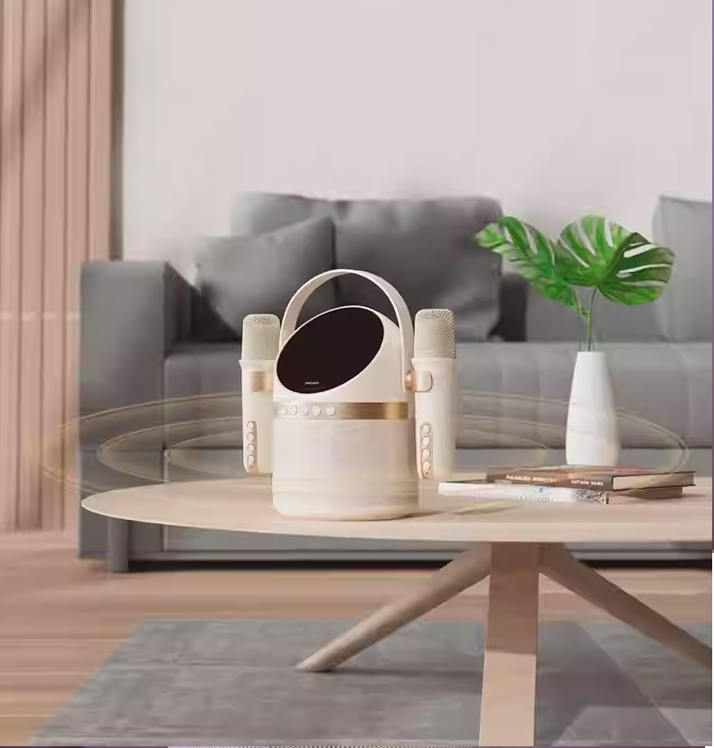 LOA KARAOKE TẶNG KÈM 2 MICRO TAS2508WT/93