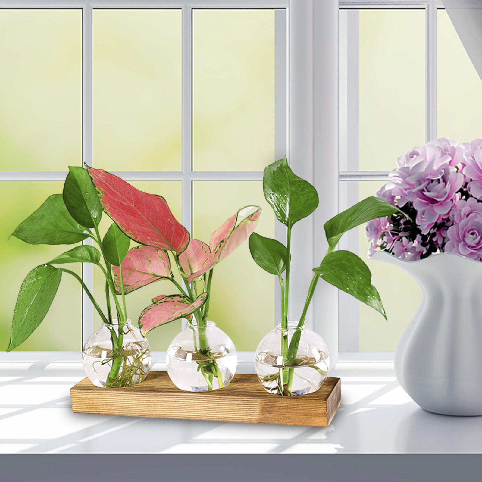 Glass Vase Transparent Bottle Propagation Terrarium for Home Cabinet Decor