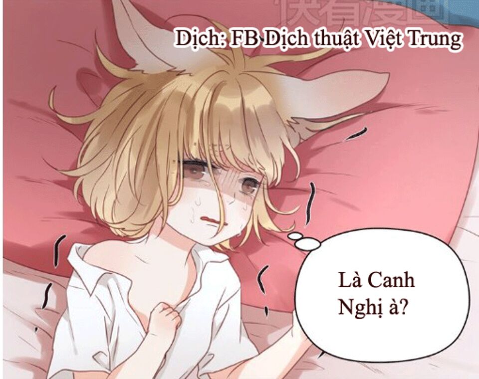 lượm được một tiểu hồ ly phần 1 chapter 16 12