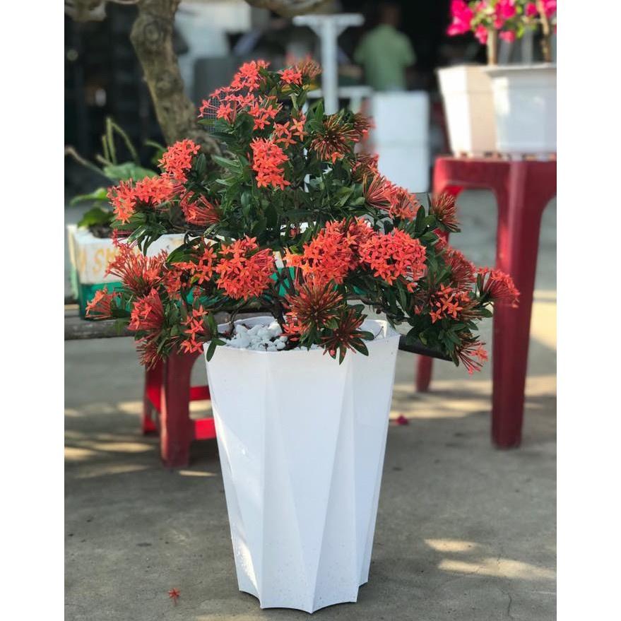 Chậu Nhựa Trồng Cây Tám Cạnh Giả Sứ Lớn Trắng (25x32x16cm) Bền Chắc, Rất Đẹp Trang Nhã, Trồng Hoa Kiểng, Cây Ăn Trái