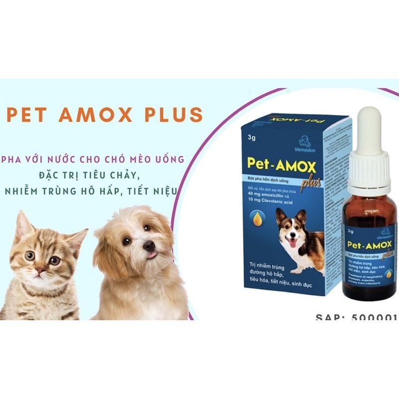 1 lọ PET - AMOX plus dùng cho bệnh hô hấp trên chó mèo