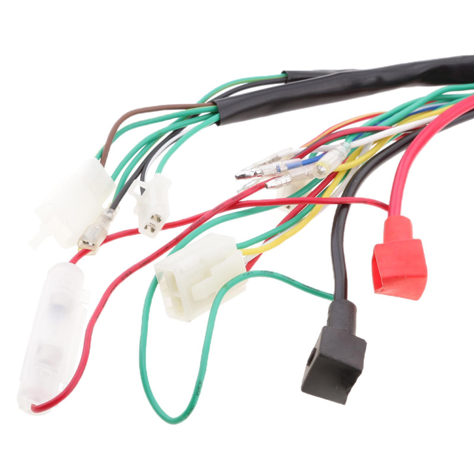 Wiring Stator CDI Loom Electric Start for 110cc 125cc 250cc