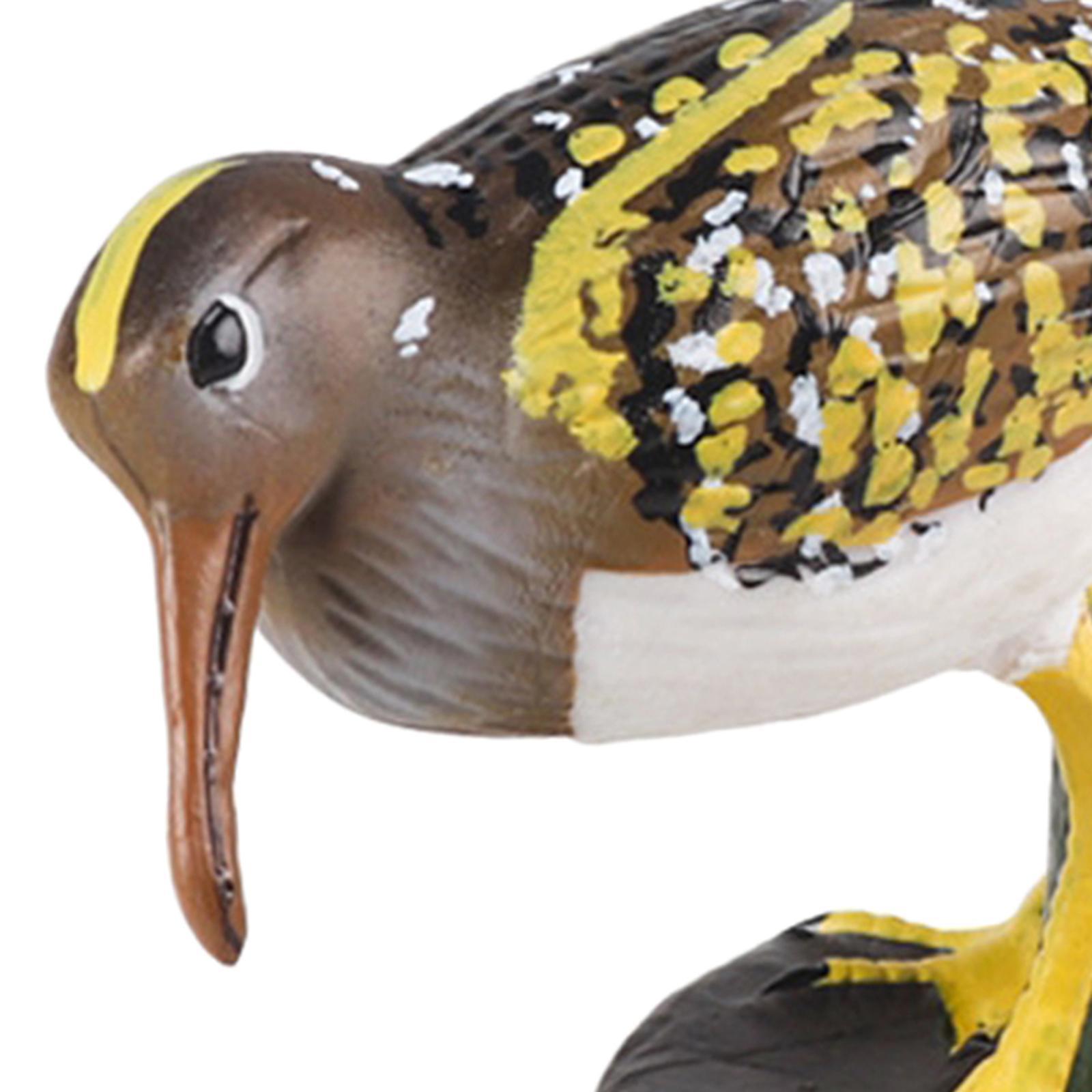 Durable Bird Figurine Ornament Fine Workmanship Bird Statue for Bookshelf Desktop