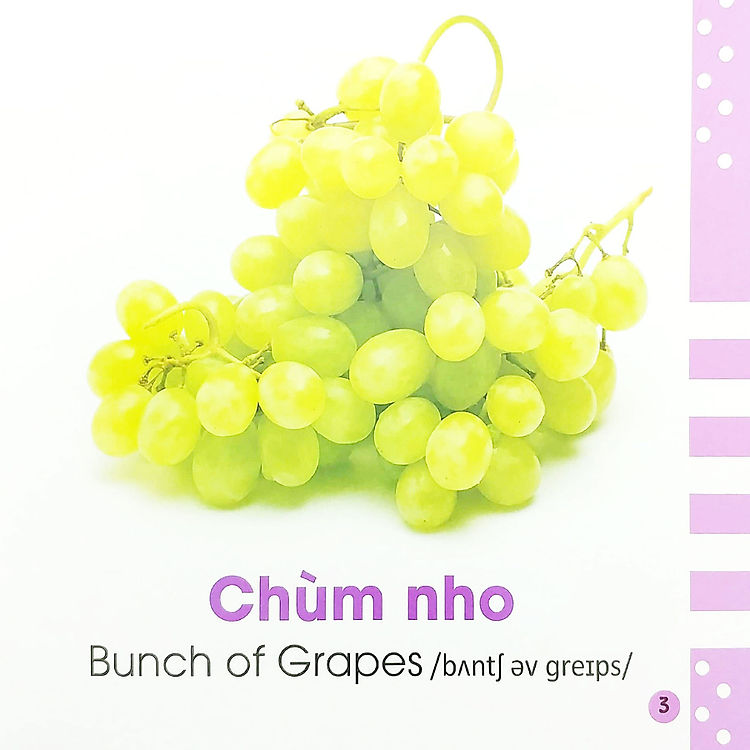 Sách Từ Điển Bằng Hình Cho Bé - Hình Dạng Và Sự Tương Phản - Shapes And Opposites