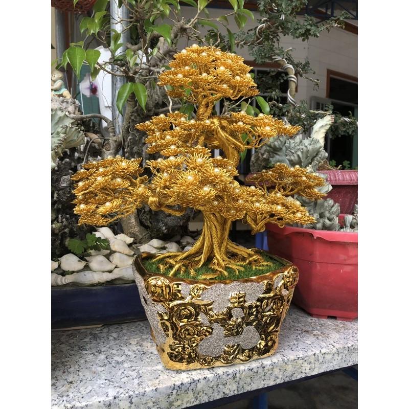 Bonsai handmade lá tùng, bonsai dây nhôm Guydecor BS01