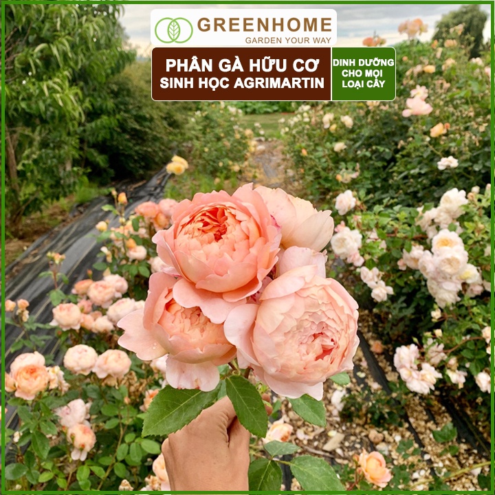 Phân gà Agrimartin, bao 1kg, viên nén, hữu cơ sinh học bón rau sạch, cây ăn quả, hoa hồng |Greenhome