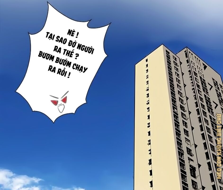 không có ssr làm sao để yêu chapter 12 13