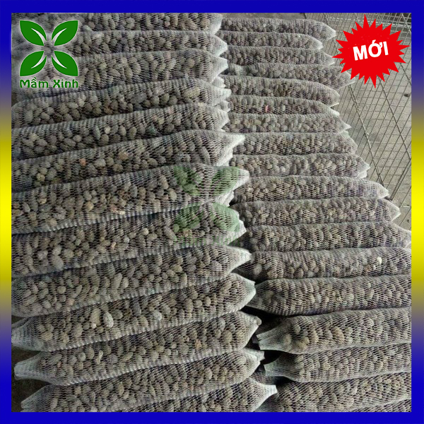 Phân dê túi lưới đã qua xử lý - dùng để ghim vào gốc hoa lan, bón cho cây cảnh, rau sạch