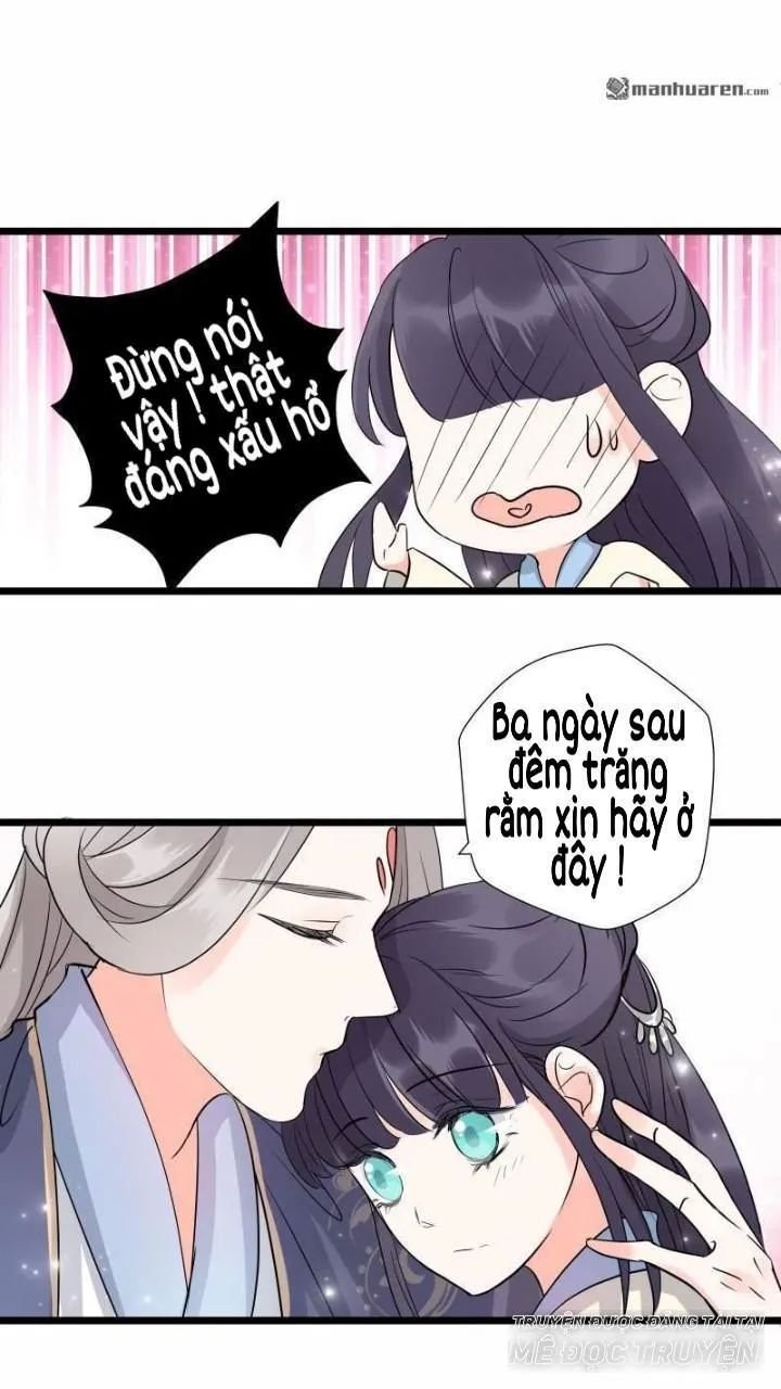 định mệnh giữa vị thần và tiểu cô nương chapter 12.4 11