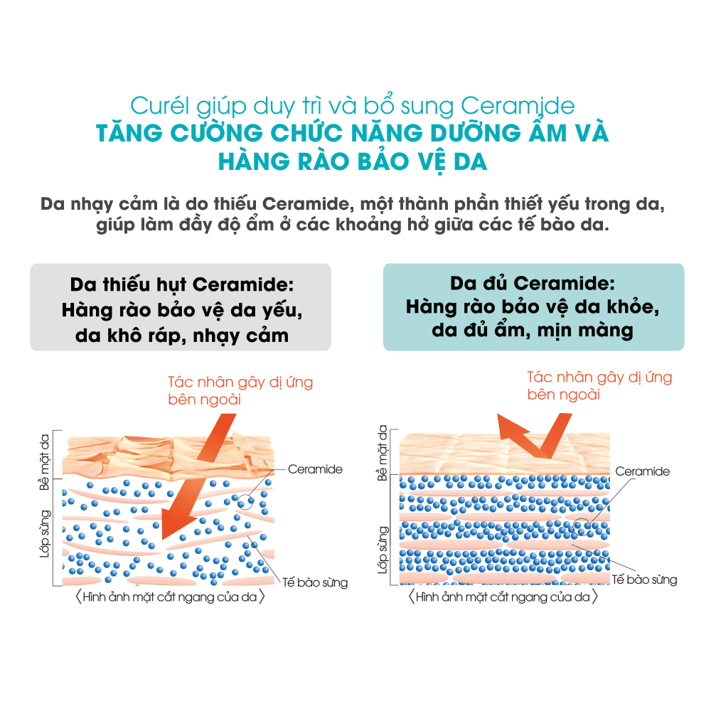 Sữa tắm toàn thân cấp ẩm chuyên sâu dạng bọt Curel 480 ml