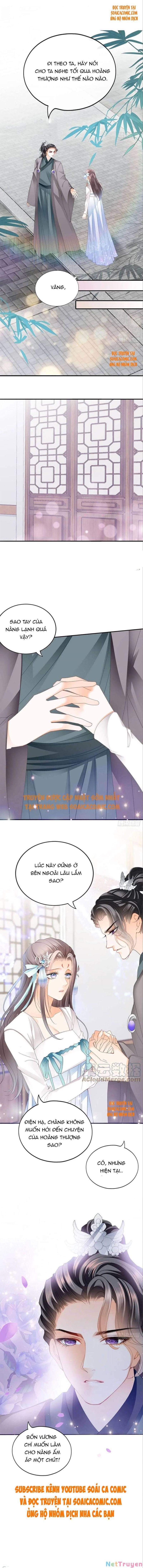 bổn vương muốn nàng chapter 100 5