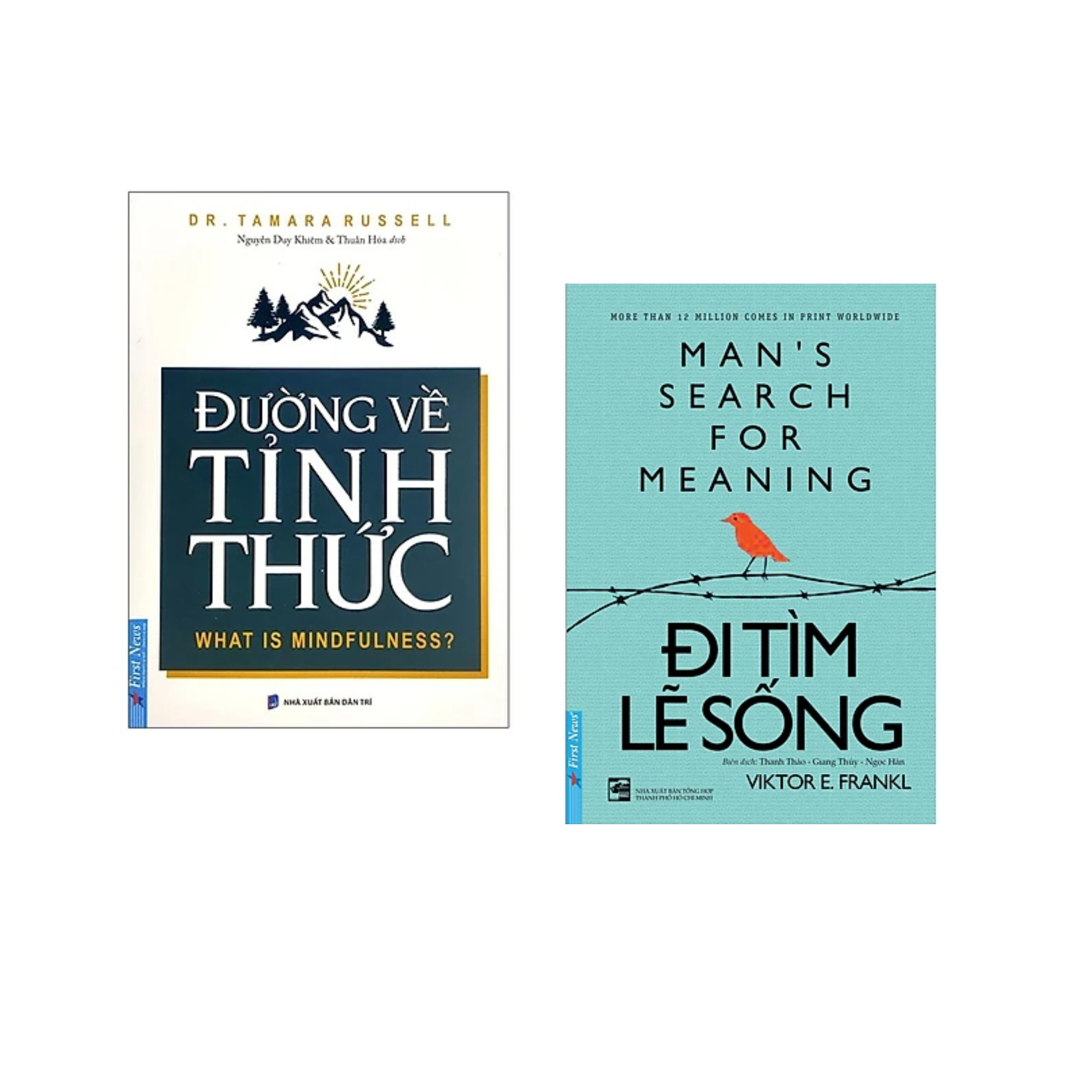 Combo sách Hay Bán Chạy: Đi Tìm Lẽ Sống+Đường Về Tỉnh Thức/Tặng Bookmark
