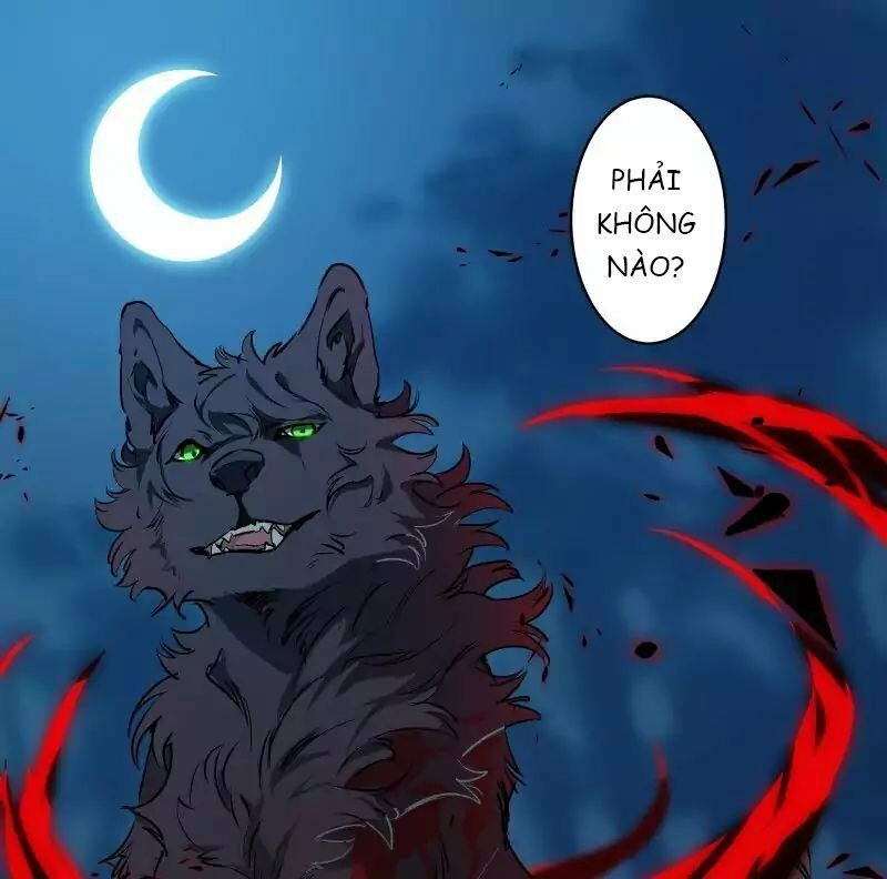 lumine - cội nguồn ánh sáng chapter 50 37