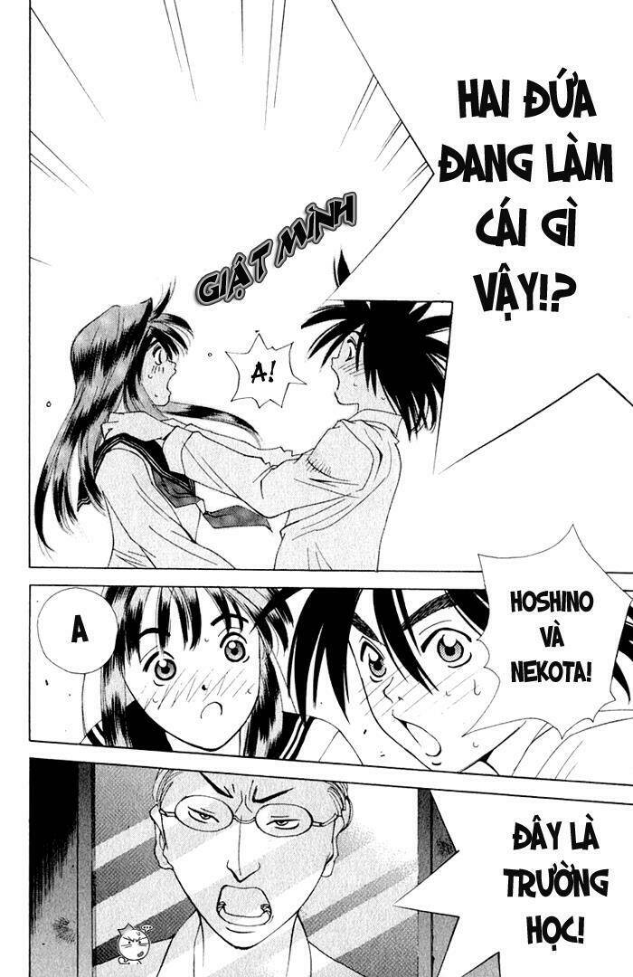 parallel chapter 17 47