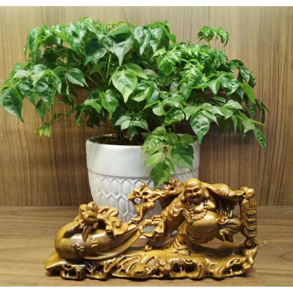 Tượng Phật Di Lặc kéo bao tiền để oto, bàn làm việc, tượng Di Lặc Gỗ Bách Xanh thu hút tài lộc