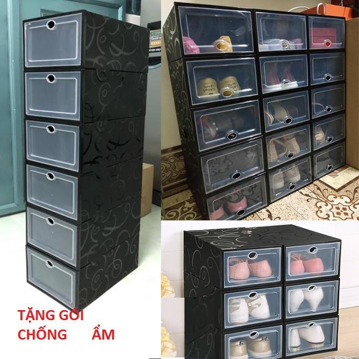 Combo 10 hộp đựng giày nhựa cứng size To