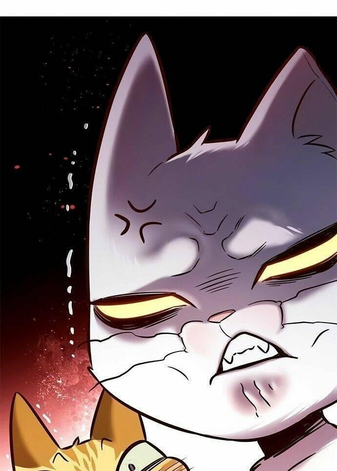 biến thân thành mèo chapter 201 51