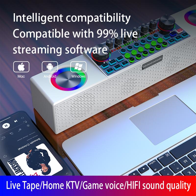 Thiết bị thẻ âm thanh phát sóng trực tiếp đặc biệt Loa Bluetooth không dây đa chức năng Máy đa năng Family KTV Color: Dual mic set