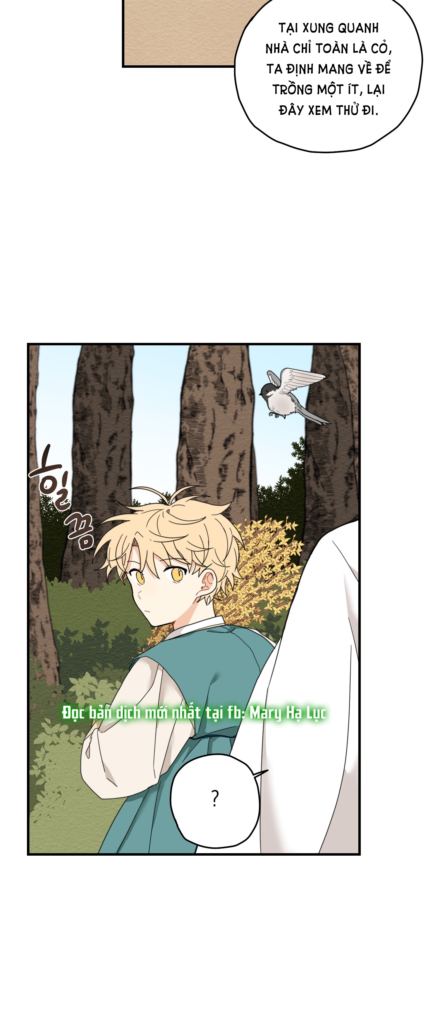 [18+] con đường hoa chuông vàng - liên kiều rơi chốn này chapter 6.1 25