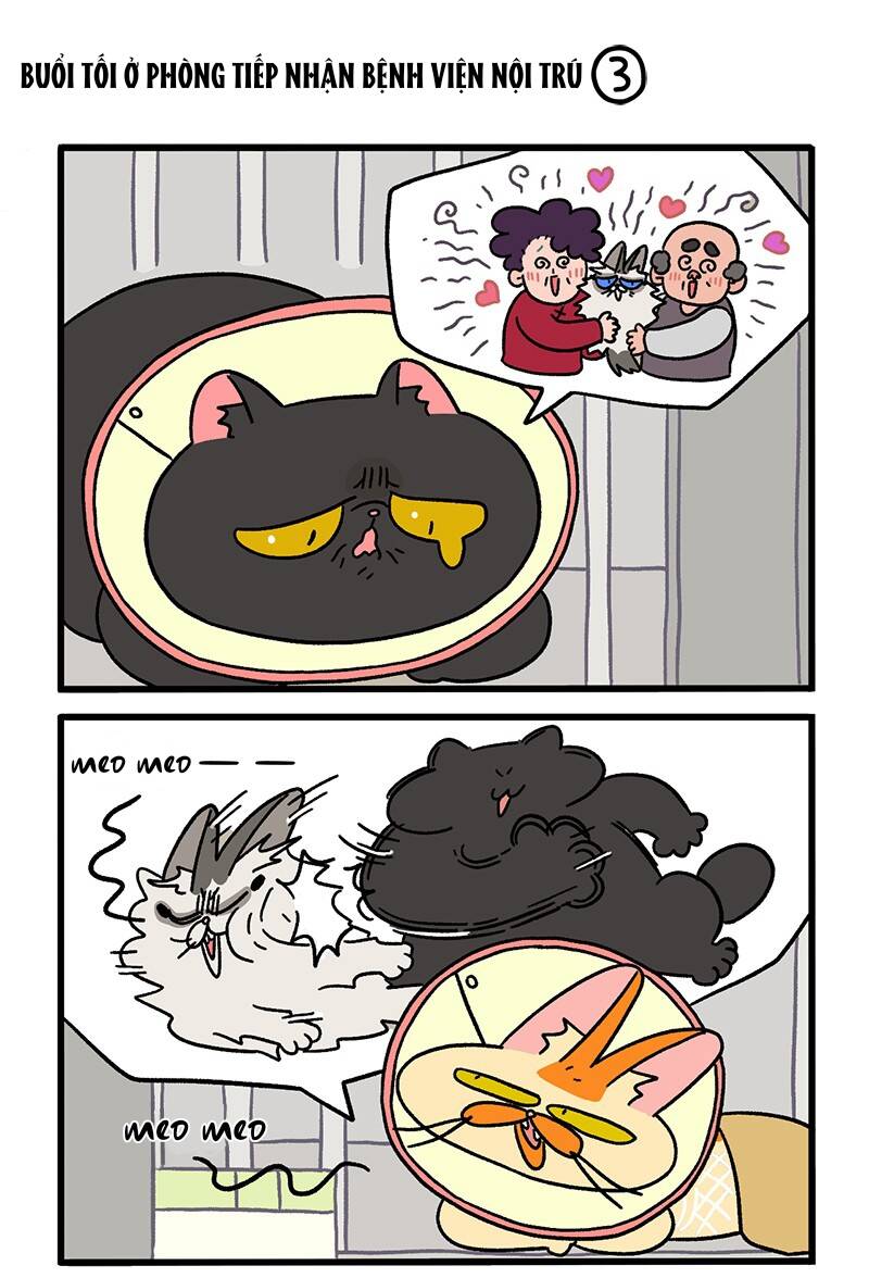 a mãn và mạch trà chapter 19 5