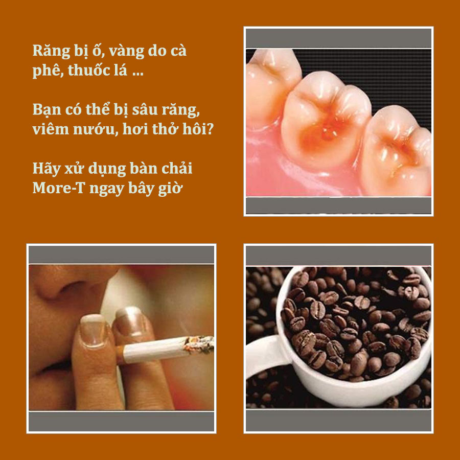 Combo 4 bàn chải đánh răng more-T lông DuPont siêu mềm